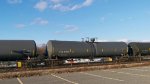 CTCX 301686